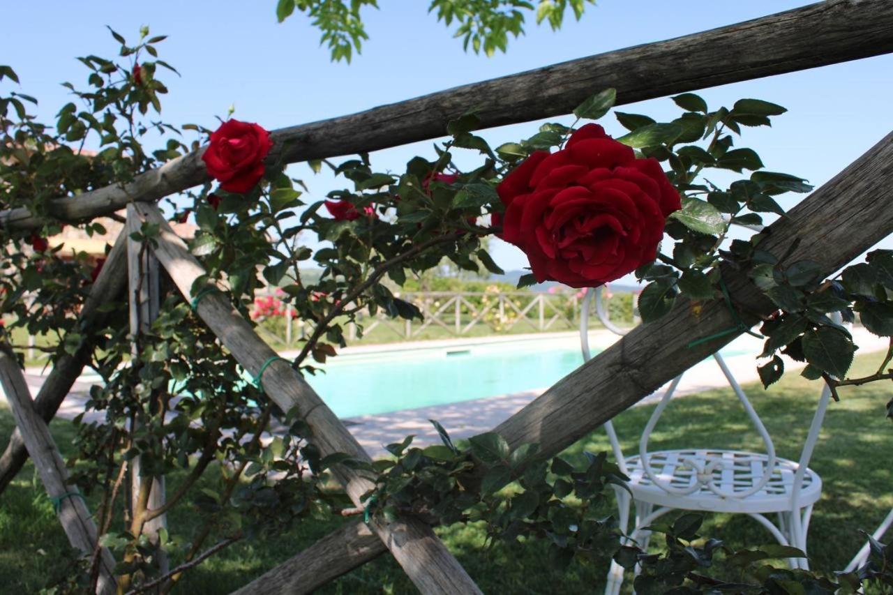 Agriturismo La Paciarella Villa Campiglia dʼOrcia Exteriör bild