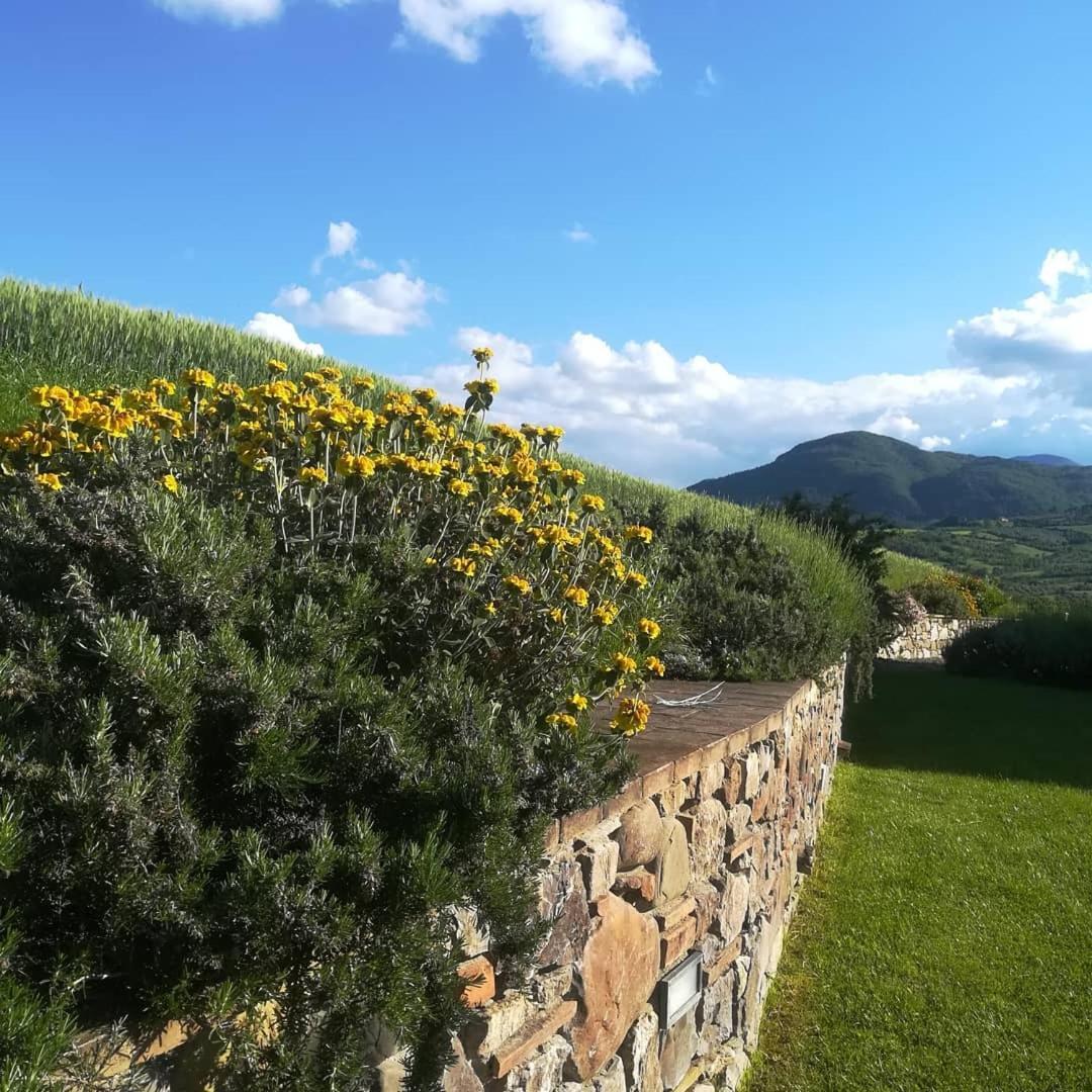 Agriturismo La Paciarella Villa Campiglia dʼOrcia Exteriör bild